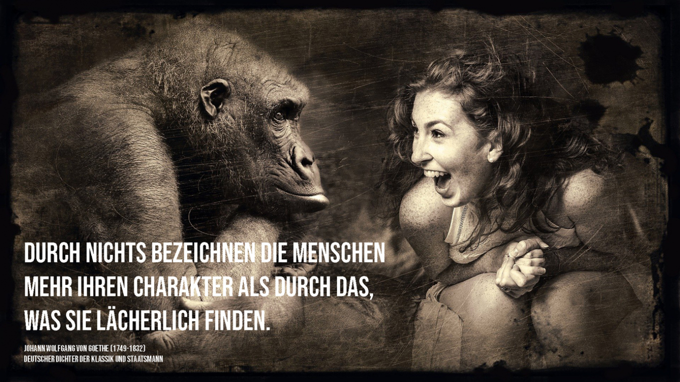 motivation, coaching, coach, life, leben, liebe, Charakter